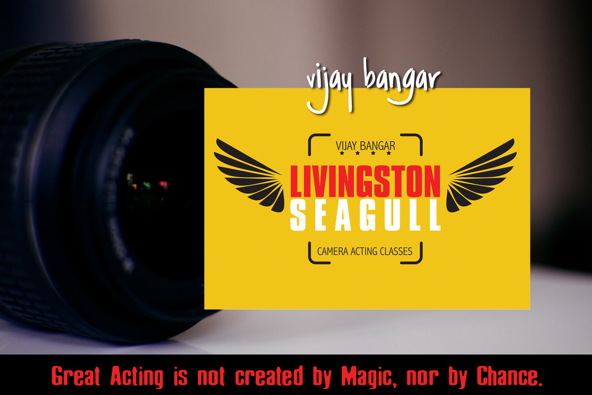 Livingston Seagull Camera Acting Class
